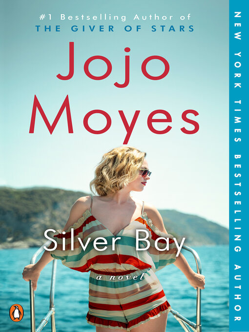 Cover image for Silver Bay